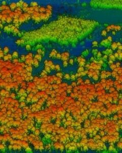 Lidar visualization