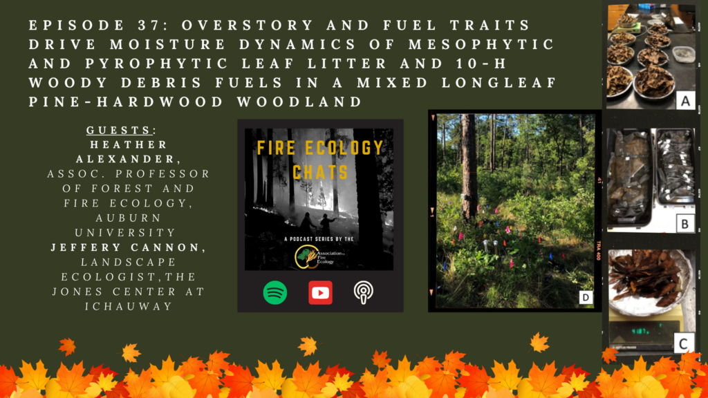 Episode 37: Overstory and fuel traits drive moisture dynamics of mesophytic and pyrophytic leaf litter and 10-h woody debris fuels in a mixed longleaf pine-hardwood woodland