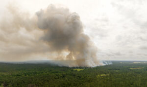 Smoke from rx fire