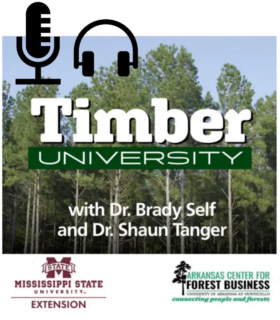 Timber University podcast