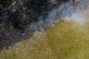 Prescribed burns help reduce wildfire risk and maintain biodiversity. (Photo by Andrew Davis Tucker/UGA)