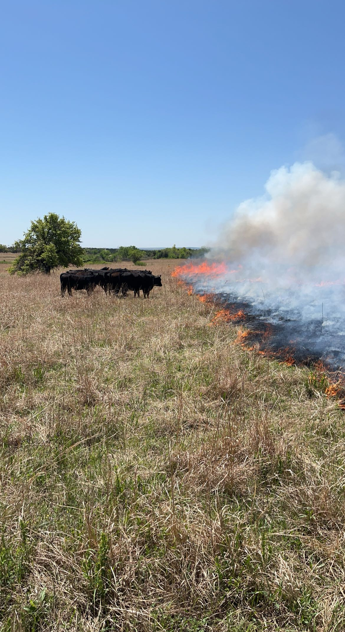 Nathan Moore conducting ecological research