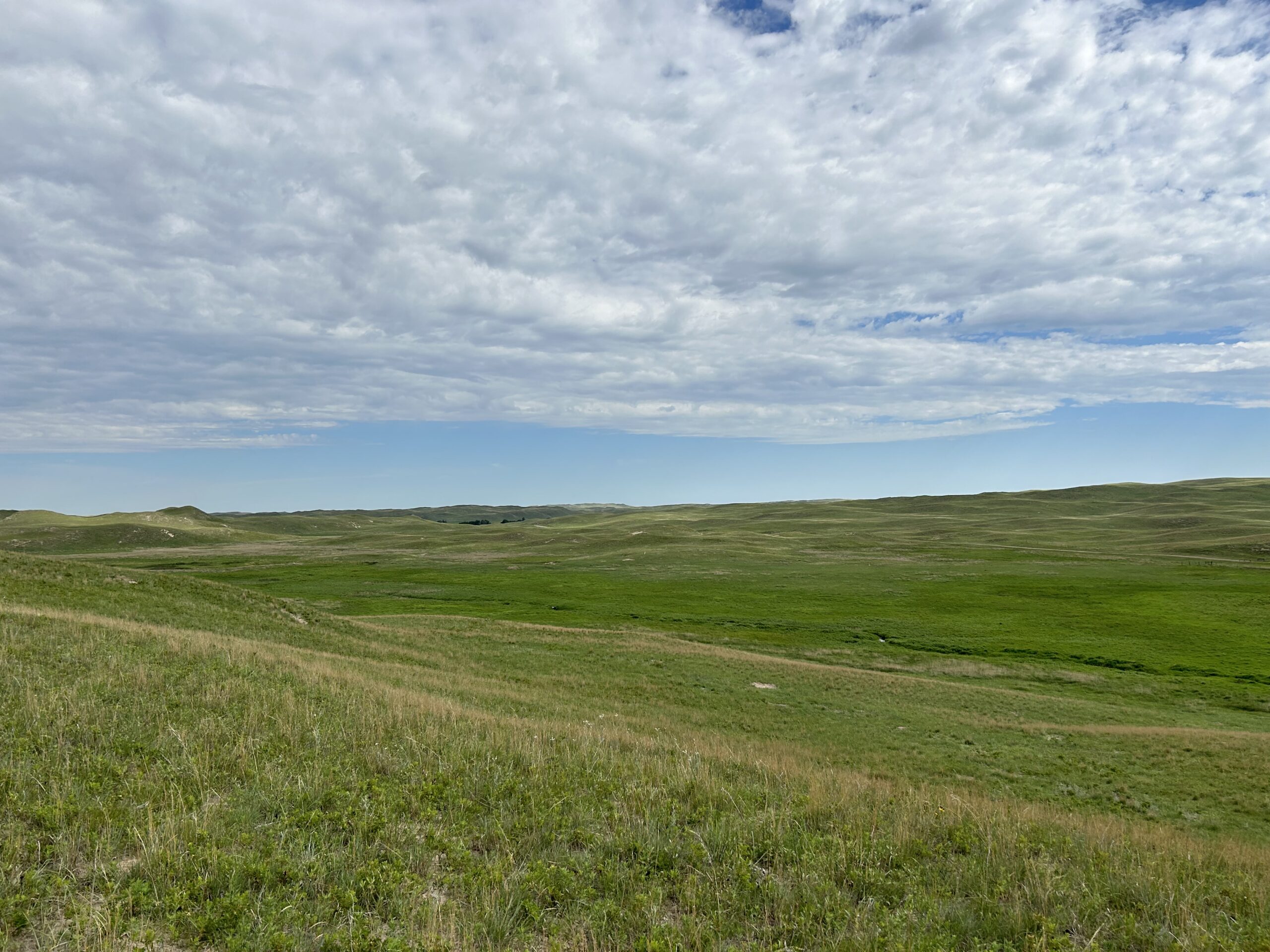 Nathan Moore conducting soil carbon research
