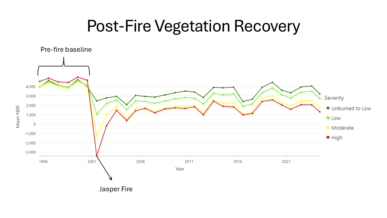 NDVI recovery patterns after the Jasper Fire