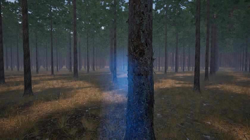 Pinescape gameplay: a longleaf pine stand with one tree highlighted for marking