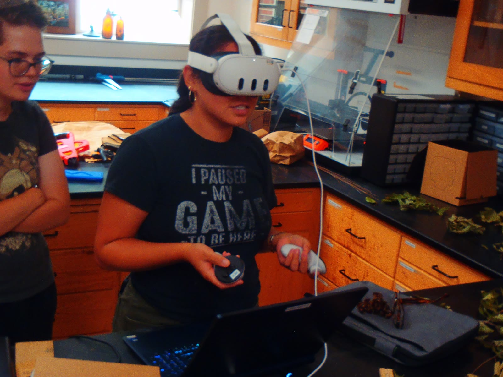 Playing Pinescape in a virtual reality headset